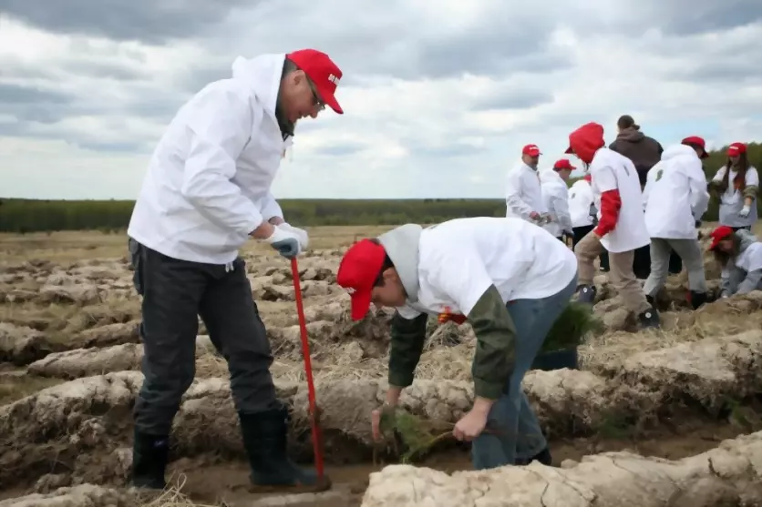 Во Владимирской обла...