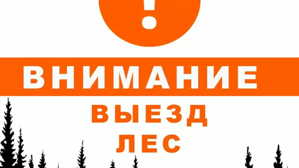 Пропал Пехоцкий Миха...