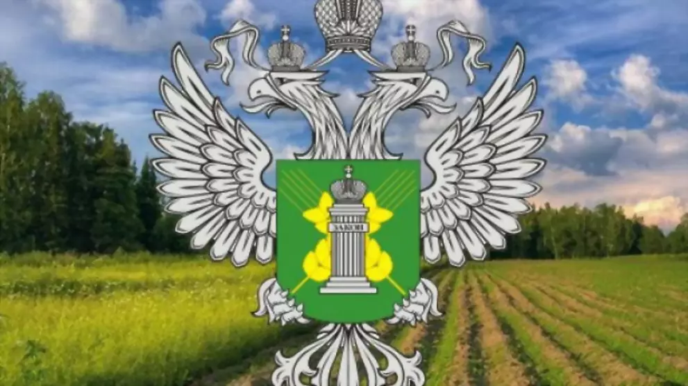 О государственном зе...