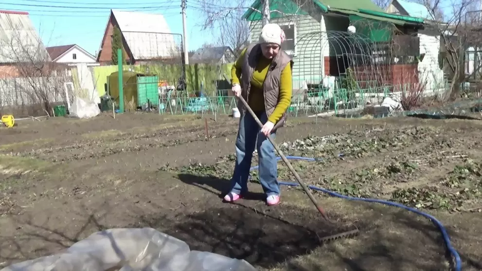 Гражданам разрешили...