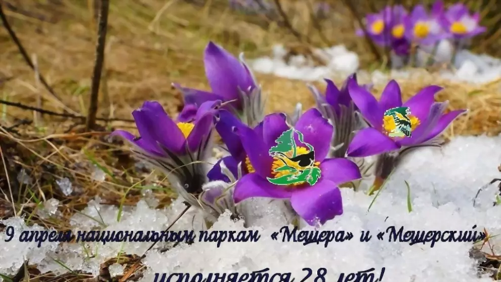 НАЦИОНАЛЬНОМУ ПАРКУ...
