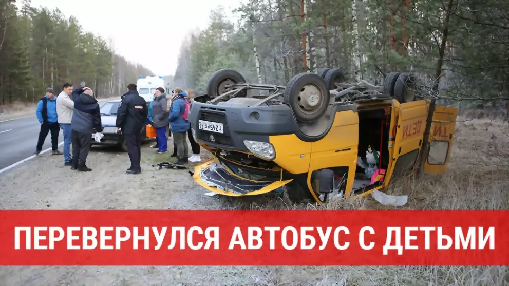 На дороге Гусь-Хруст...