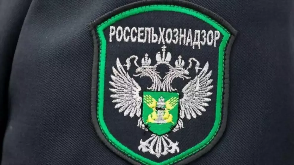 В три раза увеличилс...