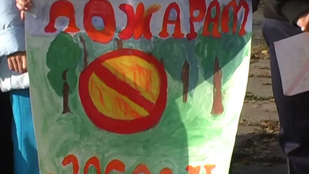 Как прошёл "День про...