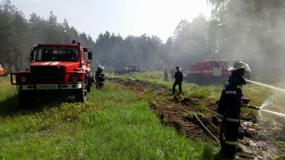 Департамент лесного...