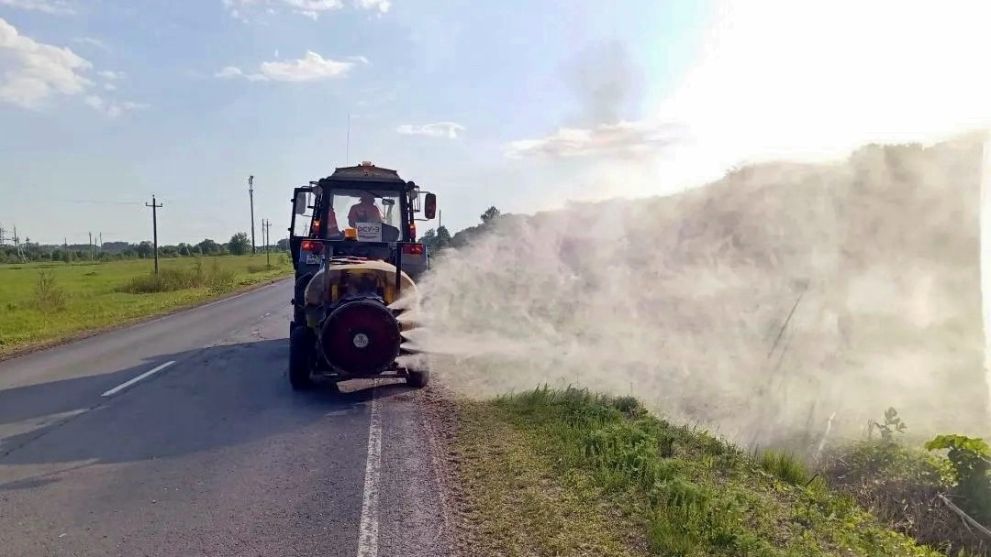 В этом сезоне в поло...