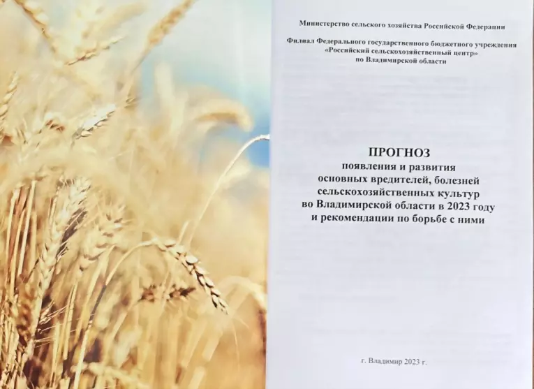 Во Владимирской обла...