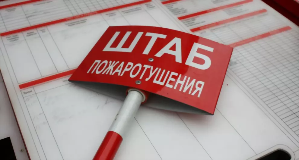 С 8 сентября во Влад...