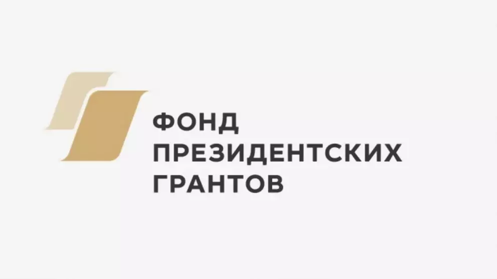 Проекты 28 НКО Влади...