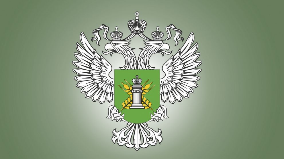 Во Владимирской обла...