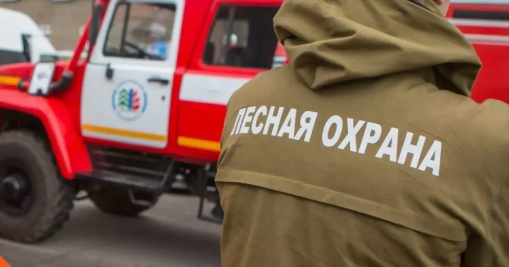 Ситуация с природным...