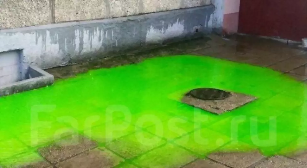 Бытовая поэзия: в Гу...