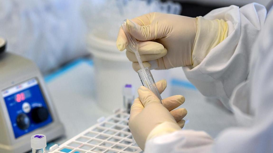 Во Владимирской обла...