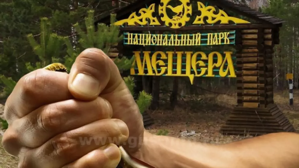 В Гусь-Хрустальном м...