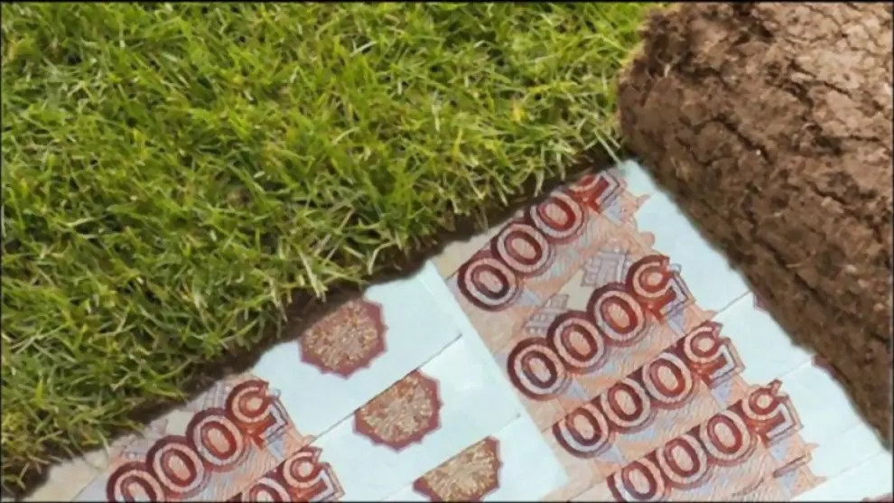 Прокуратурой выявлен...