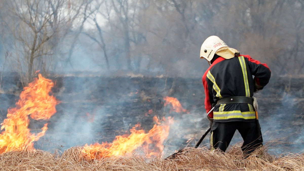 С 22 апреля во Владимирской области введён особый противопожарный режим