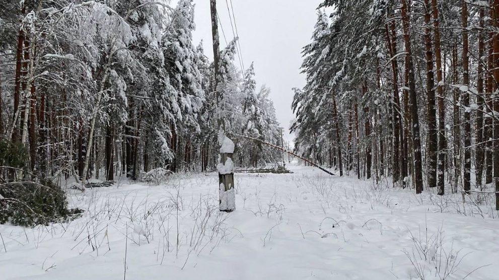 Энергетики «Владимир...