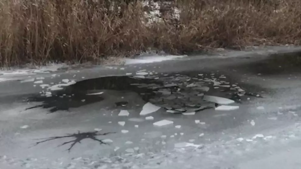 Непоправимая трагеди...