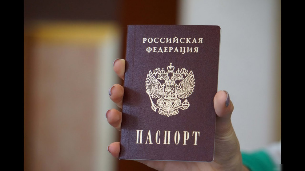 Фото На Паспорт Гусь Хрустальный