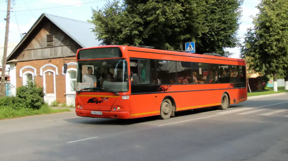 Нужен ли в городе но...