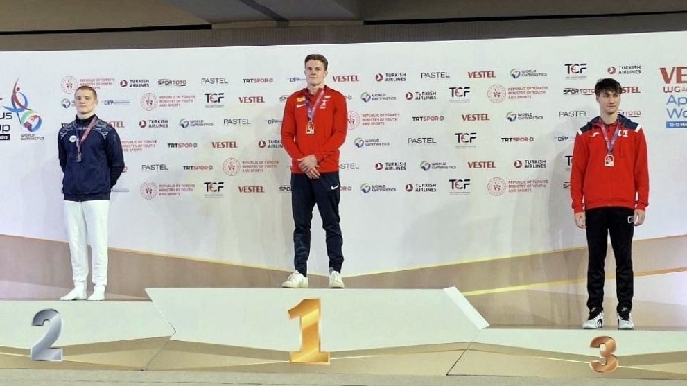 Владимирский гимнаст...