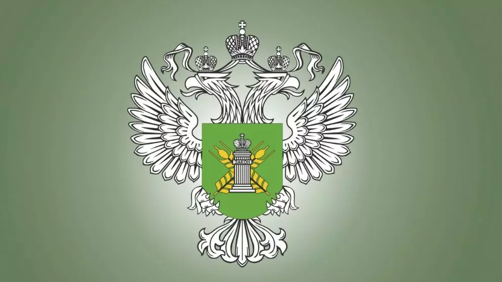 За 6 месяцев 2025 го...