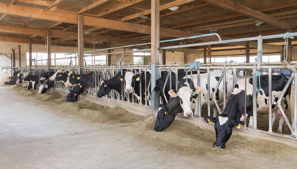 ВАЖНО для аграриев!...