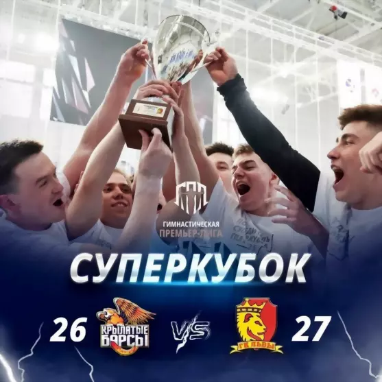Гимнасты Владимирско...