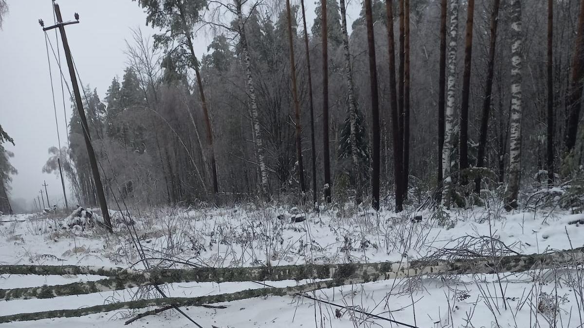 Во Владимирской области продолжают восстанавливать нарушенное ледяным дождём электроснабжение