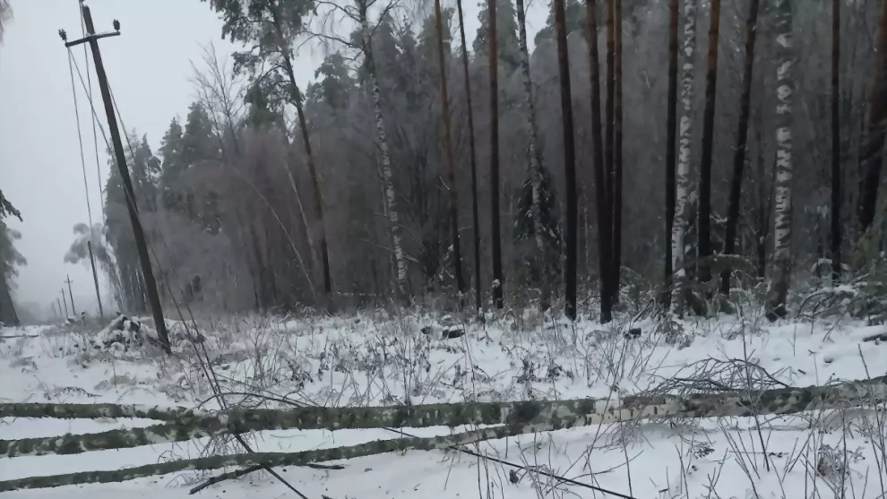 Во Владимирской обла...