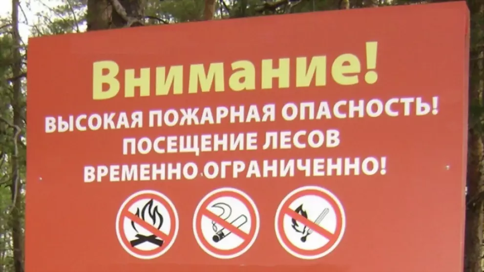 Во Владимирской обла...