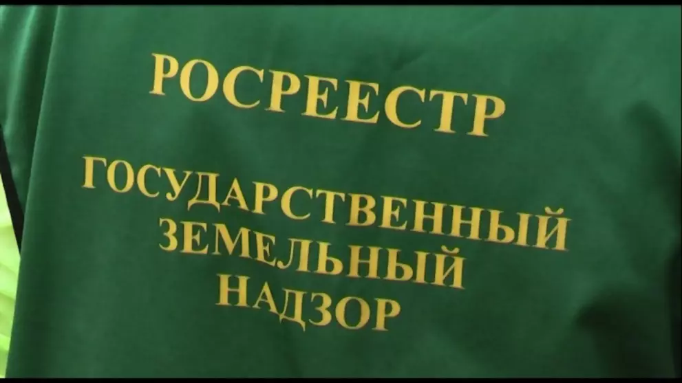 Результаты проверок...