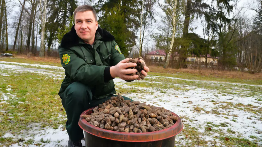 Этой зимой Владимирс...