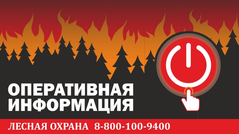 Оперативная информац...