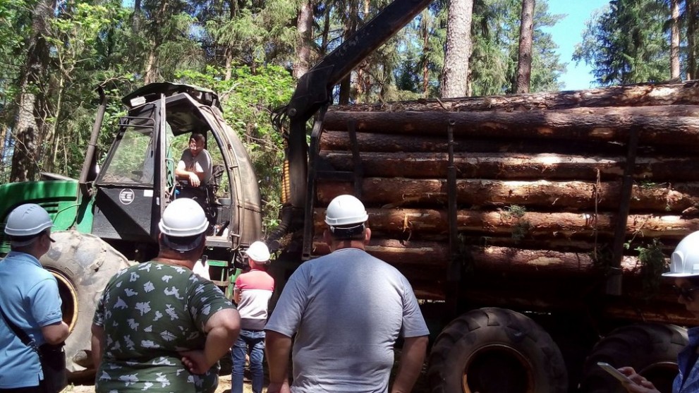 В гостях у лесоводов...