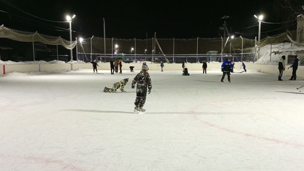 Любители коньков, вс...