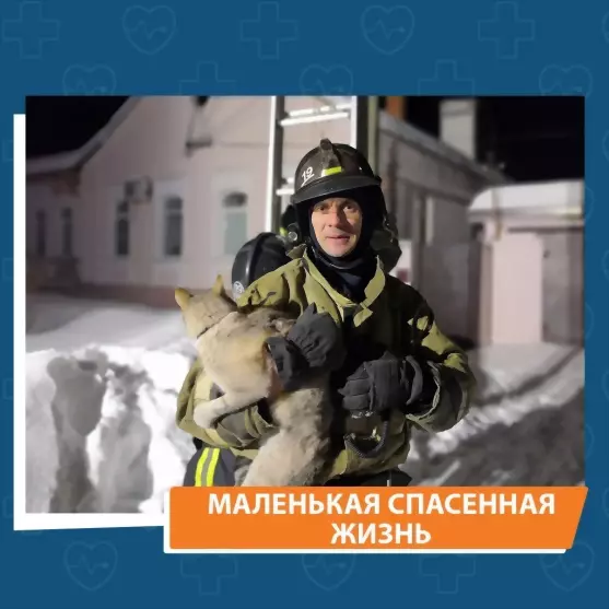 Сотрудники МЧС спасл...