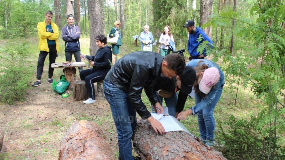 Во Владимирской обла...