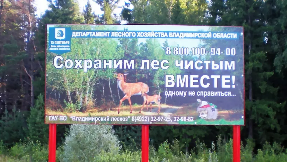 Во Владимирской обла...