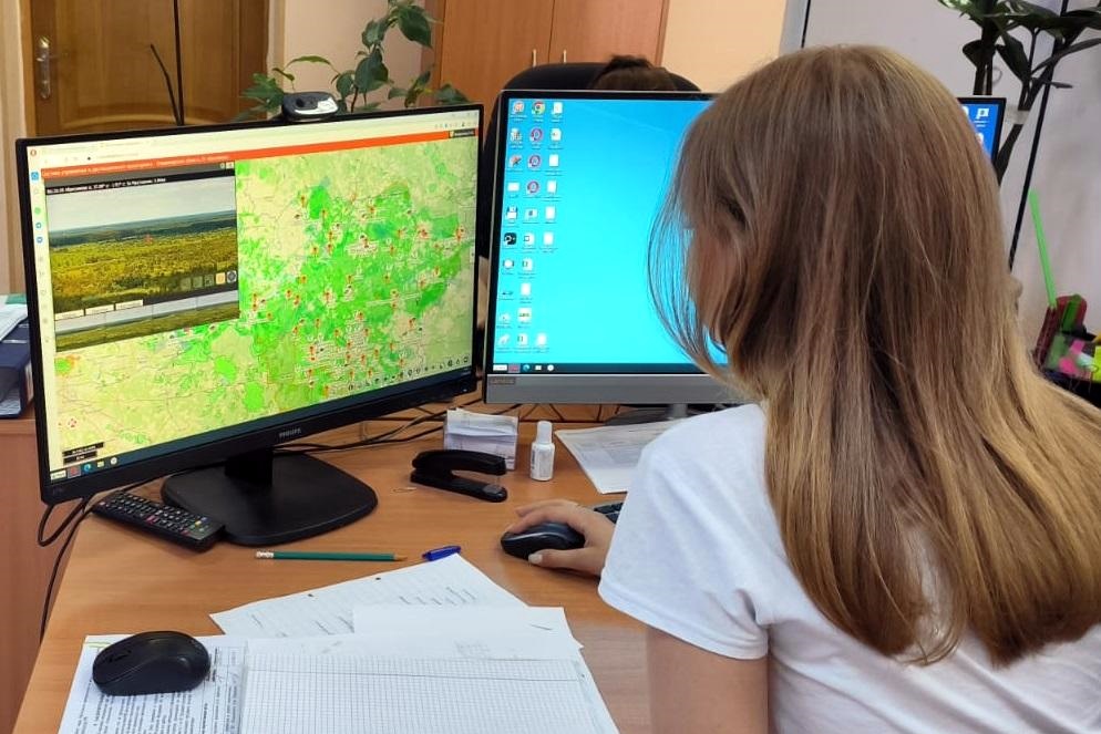 Искусственный интеллект помогает предотвращать лесные пожары во Владимирской области