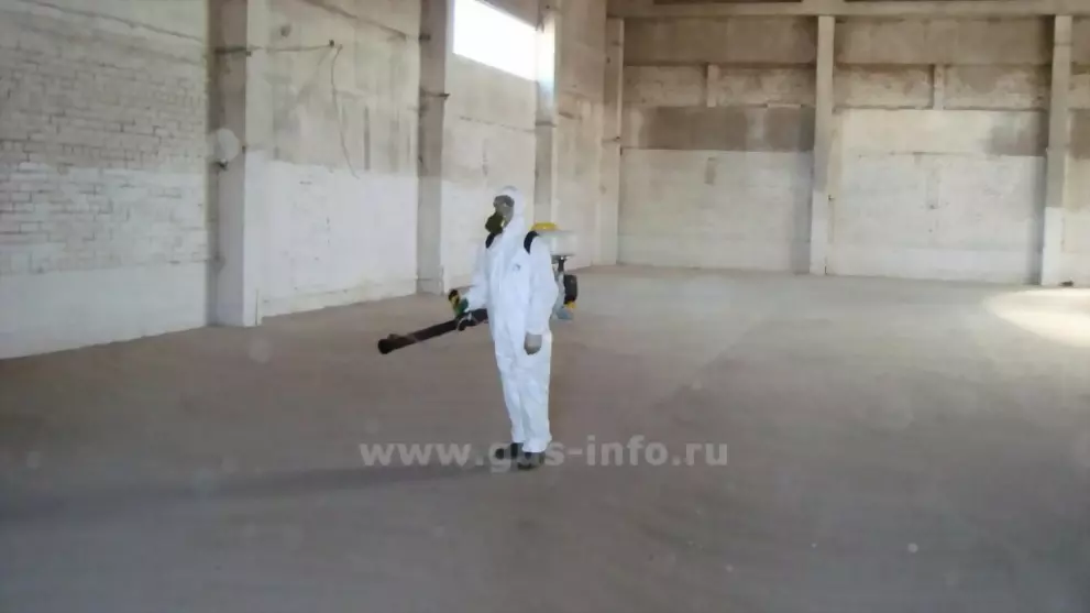 Владимирский Россель...