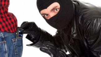 Кража сотового телеф...