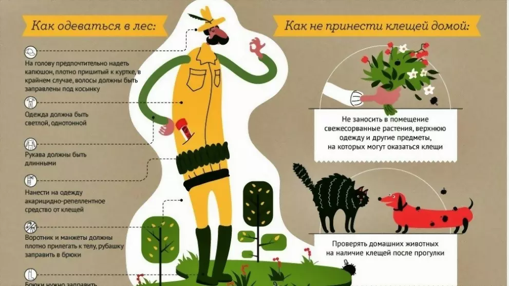 Меры профилактики кл...