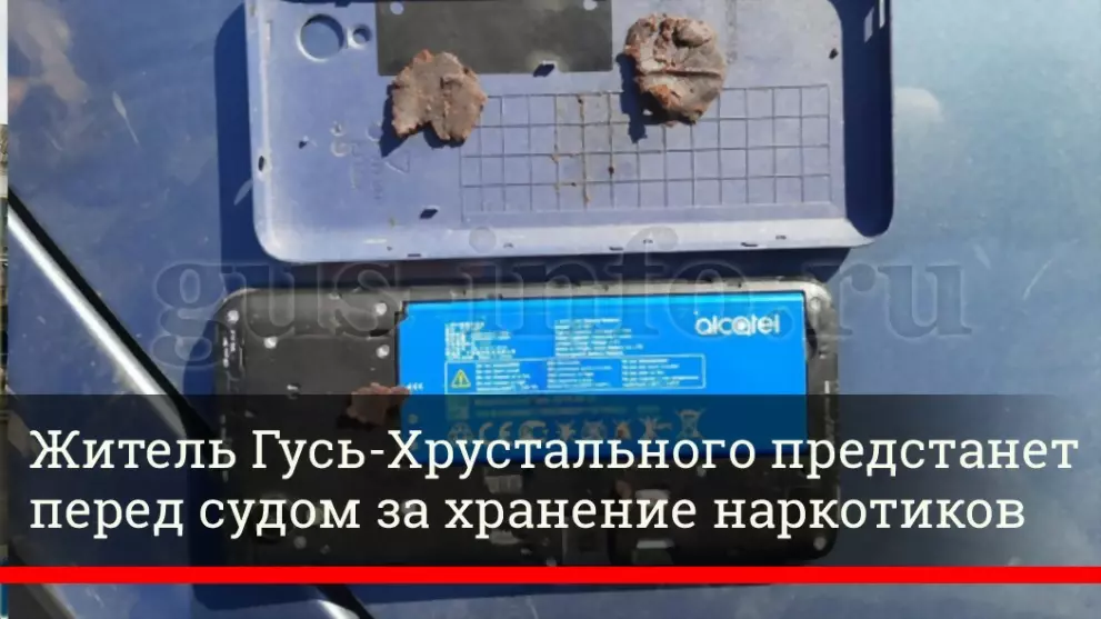 Житель Гусь-Хрусталь...