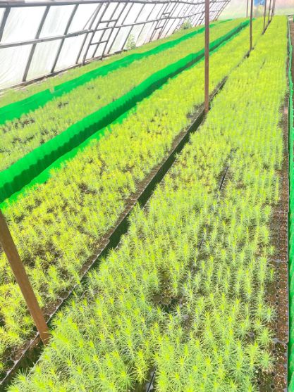 Во Владимирской обла...