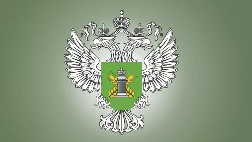 Во Владимирской обла...
