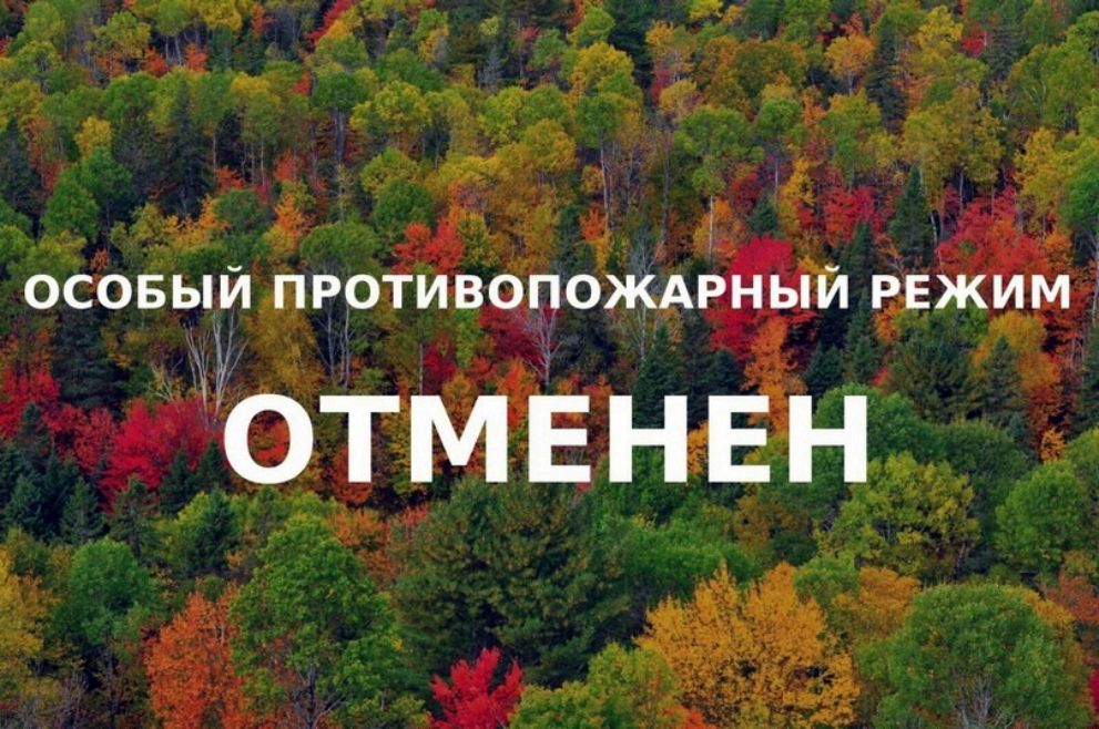 Во Владимирской обла...