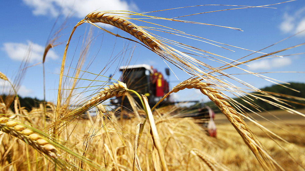 Второй антикризисный пакет Владимирской области включает меры поддержки сельского хозяйства