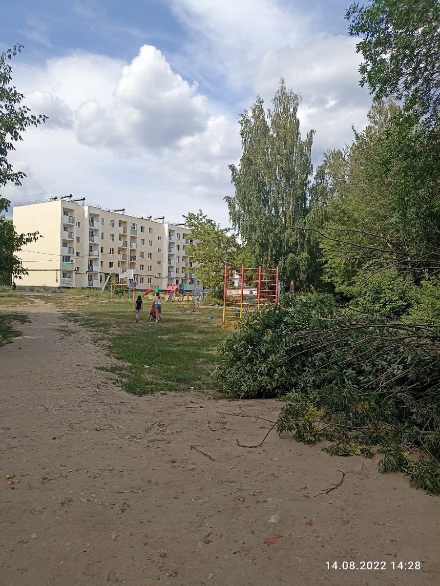 Упало дерево по улице Старых Большевиков. Рядом детская площадка, хорошо не было детей.