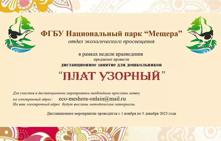 Дистанционное занятие для дошкольников «План узорный»